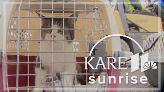 Organization brings animals to MN for adoption