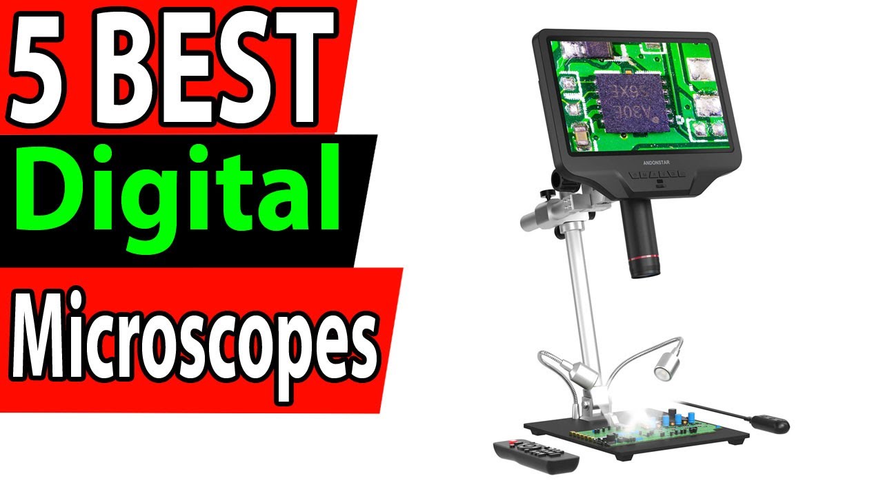 5 Best Digital Microscopes Review 2024 - YouTube
