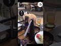 目が回らないか心配になってしまう　| panda情報局