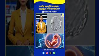 மனித கரு ஜீன் மாற்றம்: மருத்துவ முன்னேற்றமா? புதிய சர்ச்சைகளா? - TV9