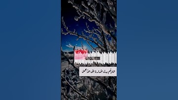 أجمل حالات واتس اب قرأن بصوت القارئ ماهر المعيقلي/#سورة_الملك#القرآن_الكريم #ماهر_المعيقلي/#1/#quran