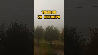 #shorts ПОГОДА ТАКАЯ РАЗНАЯ, ВЧЕРА СНЕГ, СЕГОДНЯ ДОЖДЬ 🌧