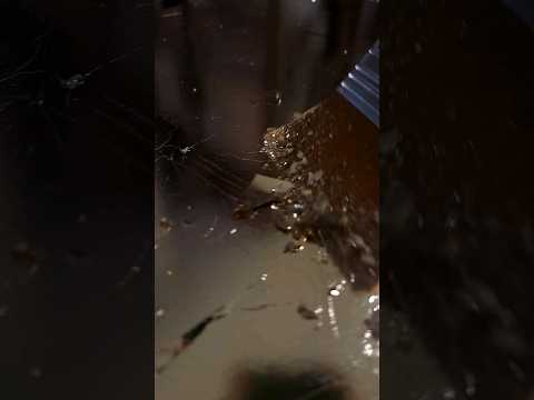 золочение фасадов мебели #галаволкова #художник #дизайнинтерьера