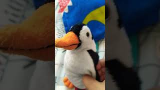 Kızlara Bayılıyorum Şfetbeniöneçıkar