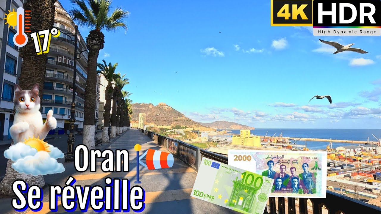 Quand la ville effervescente devient havre de paix 17° 🌤️ TAUX 1€ = 252DA #310 #oran #dz #وهران