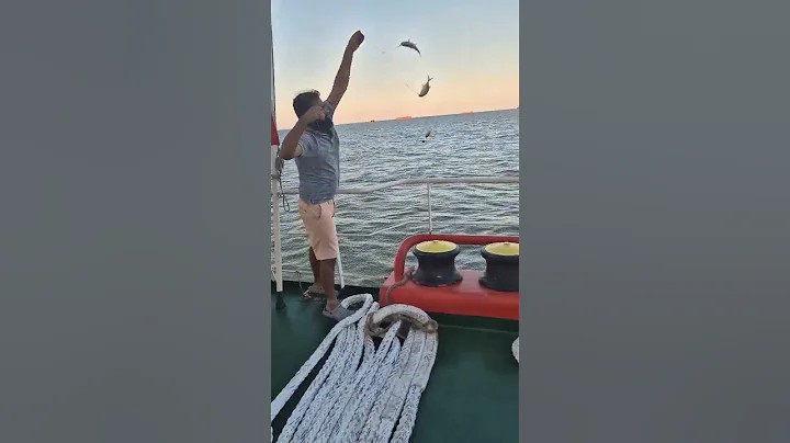 Never let your guard down when fishing #boat #blackmarlin #deepseafishing#fishing#whale#dolphin#sea