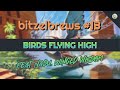 Bitzelbrews 13  birds flying high feat nadu  duel commander decktechmtgbitzelberg