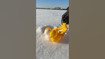LISTEN to this PERFECT CRISPY snow DUCK ball BE MADE!!! #shorts