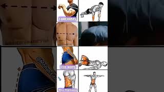 Upper body Trap, Lats, Back & Shoulder Workout 🔥 #backworkout #lats #traps #shoulderday
