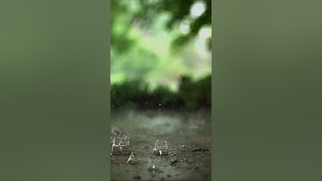ما تيسر من سورة آل عمران Surat AaliImraan - القارئ احمد خضر 🌷 🌿.