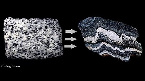 28 Study group Lab 8 Igneous and Metamorphic Rocks