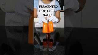 How to make Fermented Hot Chilli Sauce #chilisauce