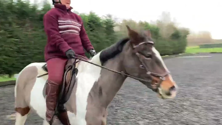 Sue Saunders riding Indian Moon
