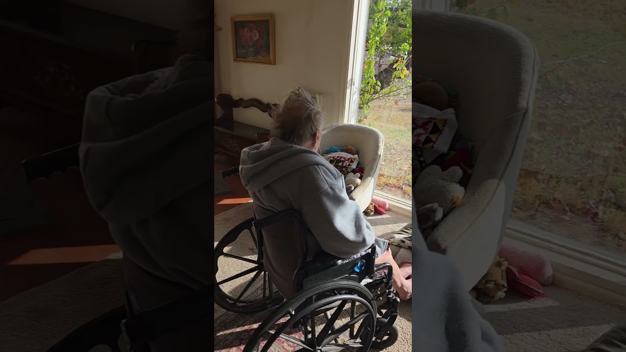 Немецкий дог обожает дотрагиваться до пальцев ног.