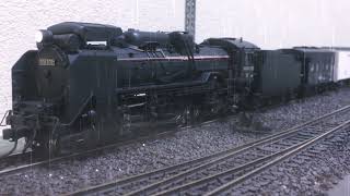 hoゲージ 1/80 D51 #hoゲージ #鉄道 #train