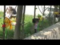 ガーデニング【Bugの木製かざぐるま】