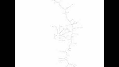 Minimum Spanning Tree Clustering Graph Evolution