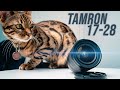 There is a lot to HATE...|| Tamron 17-28 f2.8 Sony E Mount Review