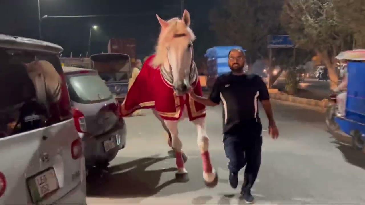 SHAHZAMAN BADSHAH | November 2022 | Mochi Gate | Babri Butt