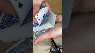 ASMR - Tally-ho