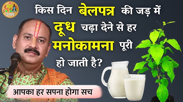 किस दिन बेलपत्र की जड़ में दूध चढ़ा देने से हर मनोकामना पूरी हो जाती है - Pradeep Mishra ji