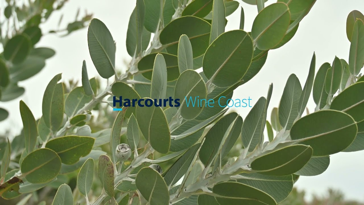 Flower Farm For Sale - 240a Braeside Road, Finniss South Australia