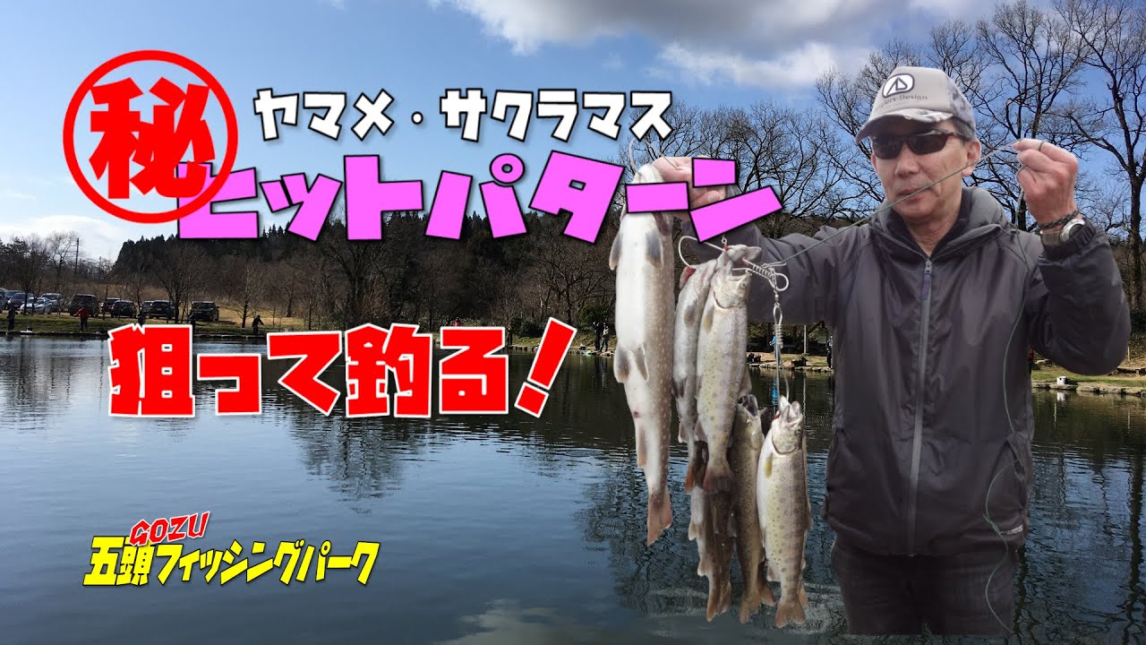 【五頭フィッシングパーク】ヤマメ、サクラマス狙って釣る！ タックルと攻略法