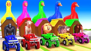 5 Giant Duck, Monkey, Piglet, chicken, dog, cat, lion, cow, Sheep, Transfiguration funny animal 2024
