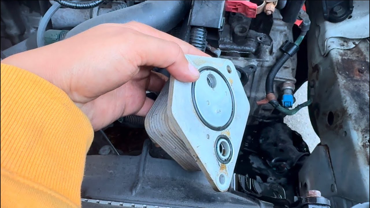 Cambio de ACEITE DE TRANSMISIÓN AUTOMÁTICA HONDA ACCORD 2.4 2016 🧰🧑‍🔧