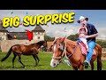 Surprising my son with a real horse 