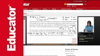 Color Blindness Probability