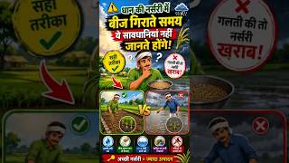 धान की नर्सरी में बीज गिराने का सही तरीका | किसान जरूर देखें