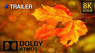 Dolby Atmos: Leaf | Trailer | Dolby