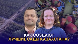 картинка: Сады будущего: как фермеры Алматы повышают качество и прибыльность?