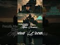 ALPHA PREDATOR -  Pottzilla MusicBox (Country Hiphop) | König der Straßen 👊