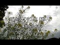 2026-3-30 白いラビリンス(迷い)/来生たかお