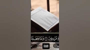 ‪القارئ عبدالرحمن مسعد _ تلاوة كما لم تسمعها من قبل _ ماتيسر من سورة الأنفال(360P)