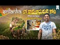 Raavana fort in sri lanka   telugu travel vlogs  sigiriya kota  uma telugu traveller