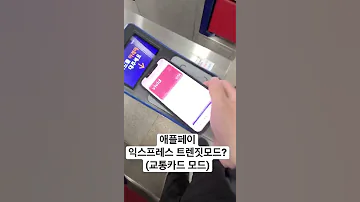 애플페이 교통카드 모드 그럴리가 ㅋ