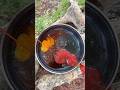 Survival Skills: SMART ideas and Useful in forest#survival #useful #ideas #smart #shorts#camping