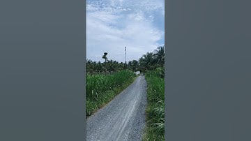 BÁN ĐẤT ĐƯỜNG 4m DT 9.60X30. 100tc LH 0907198665 #automobile #datgiare