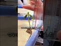 デスクで植物を育ててみた結果