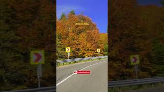Autumn mountain drive in Romania: Ojdula to Tulnici #vrancea #romania #fallcolors