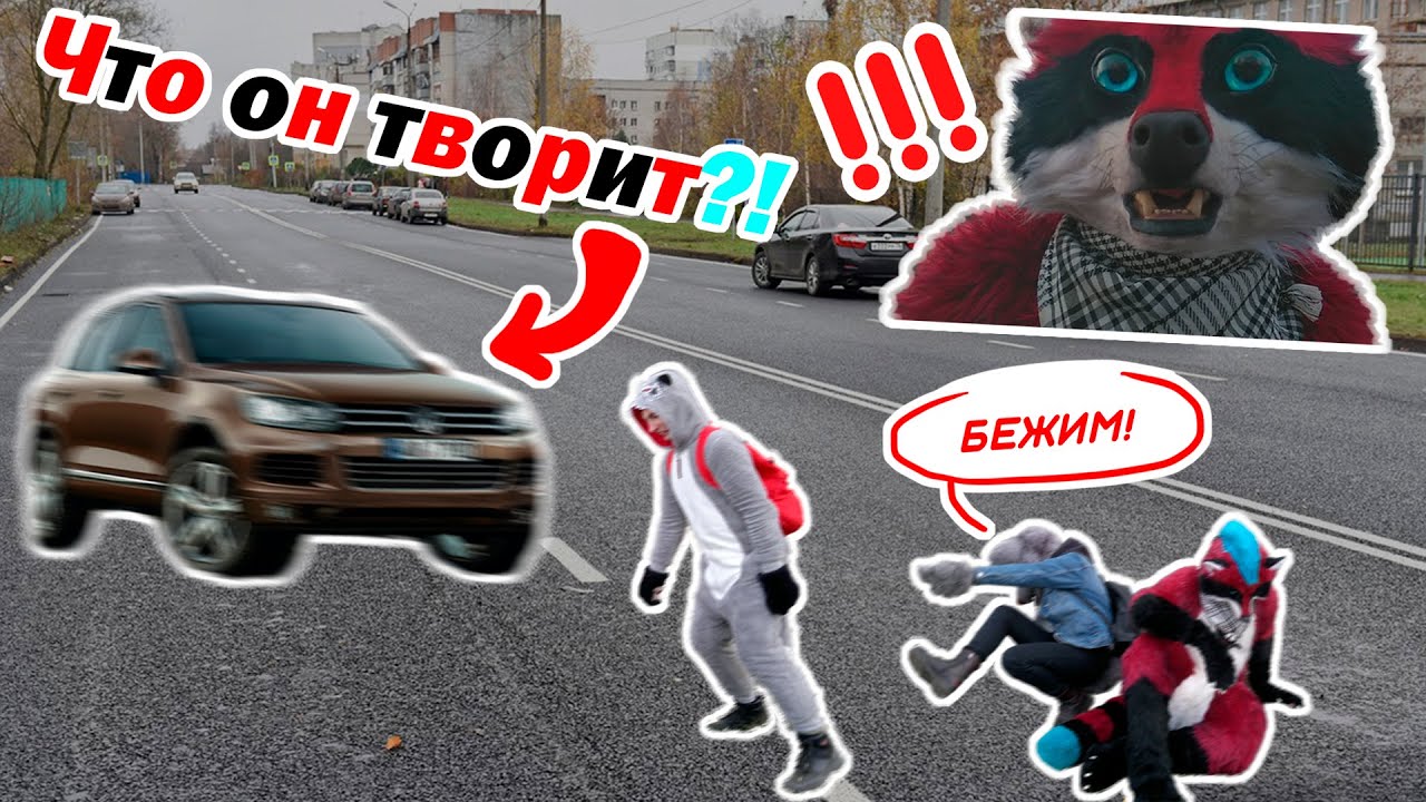 Фурри в машине