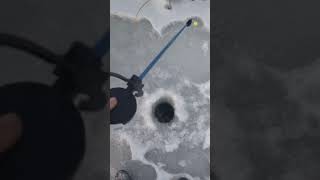 Pescuit La Copca La Biban.