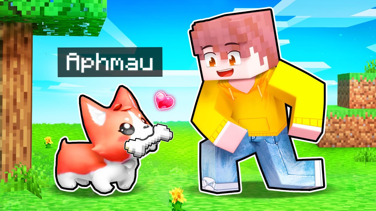 5 Minecraft Puppy PRANKS To Help Your FRIENDS! - YouTube