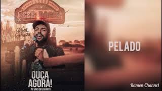 Unha Pintada - Pelado