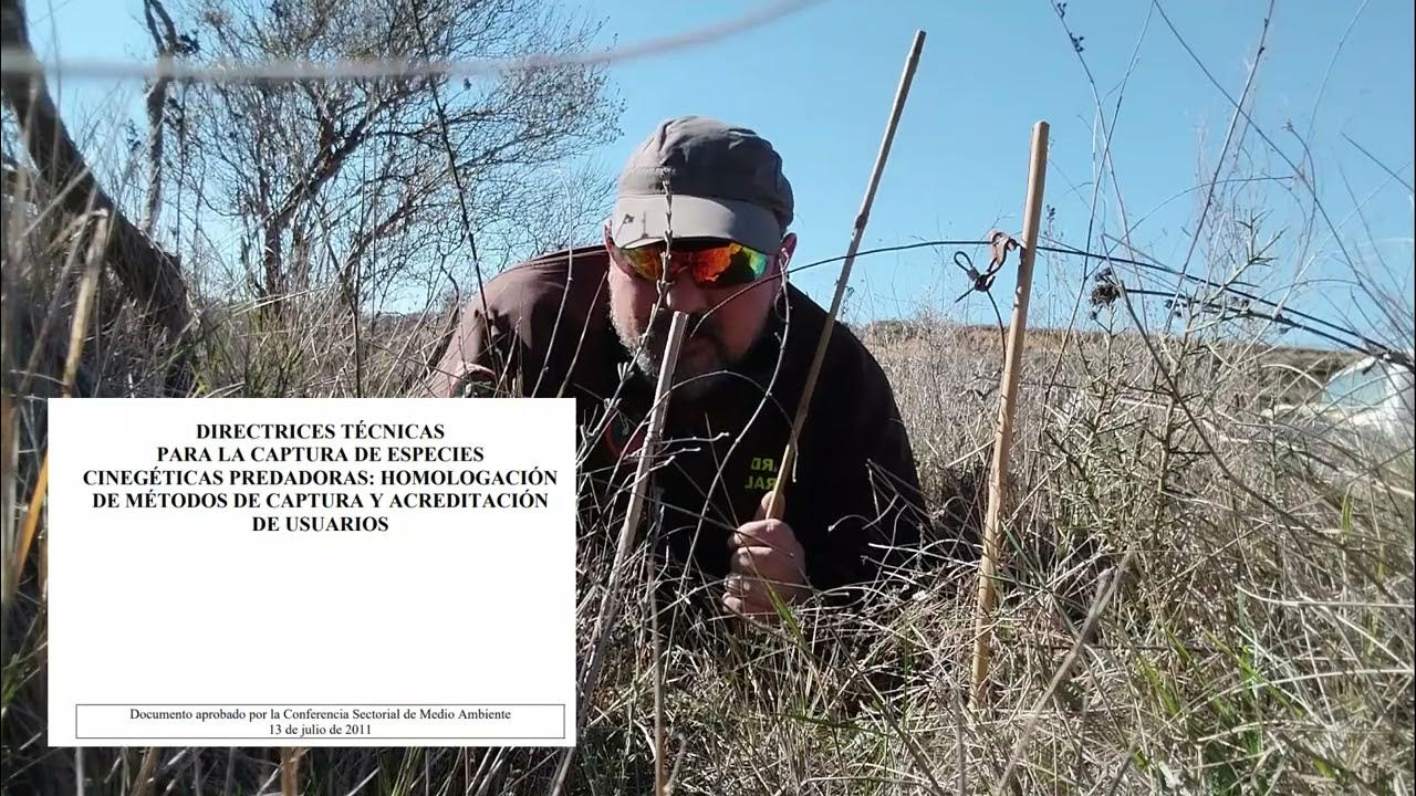 TRAMPEO MODERNO PARA EL CONTROL DE