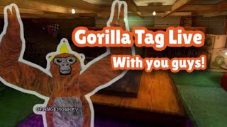 Gorilla Tag With Viewers! (Part 1/7!)