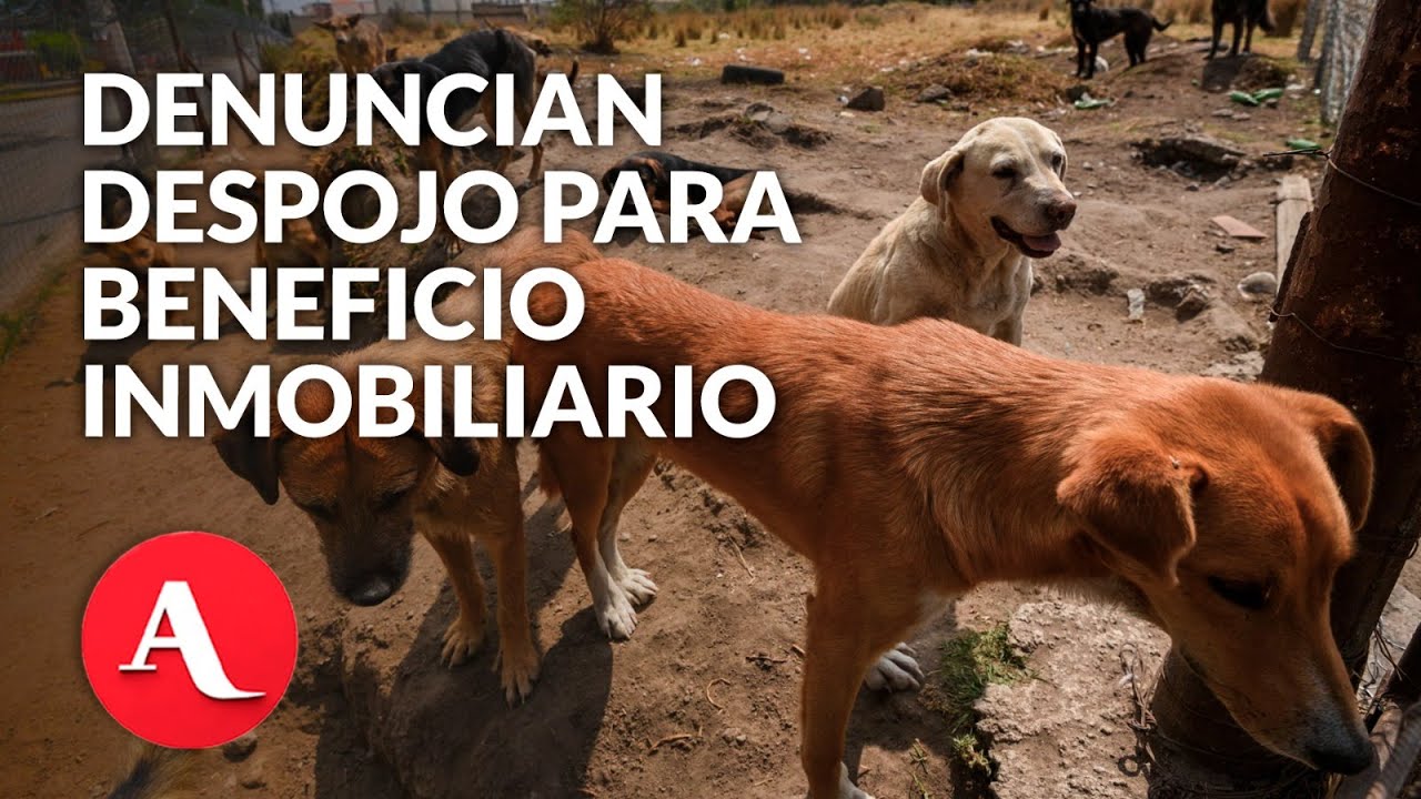 Refugio Franciscano señala al GobCDMX de no respetar fallo judicial a favor del albergue